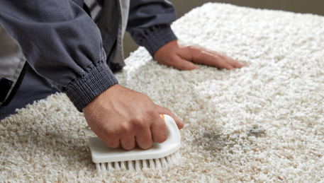 Professional Rug Cleaning Pootilla